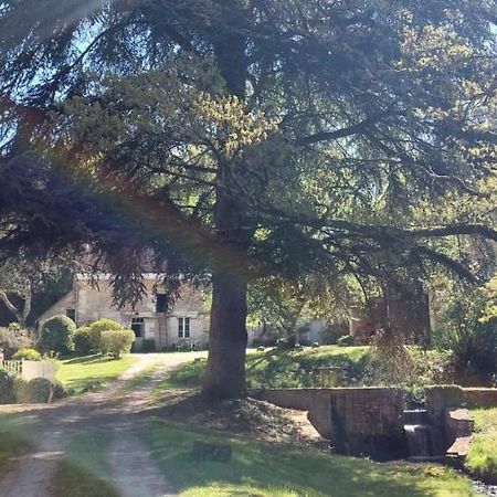 Le Moulin Du Mesnil Bed & Breakfast Saint-Georges-sur-Cher Exterior photo