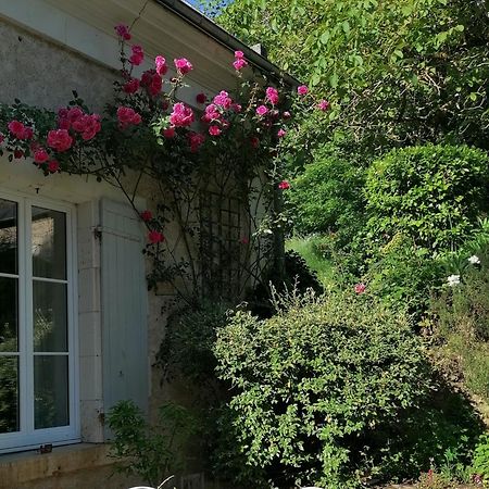 Le Moulin Du Mesnil Bed & Breakfast Saint-Georges-sur-Cher Exterior photo