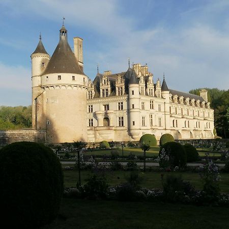 Le Moulin Du Mesnil Bed & Breakfast Saint-Georges-sur-Cher Exterior photo