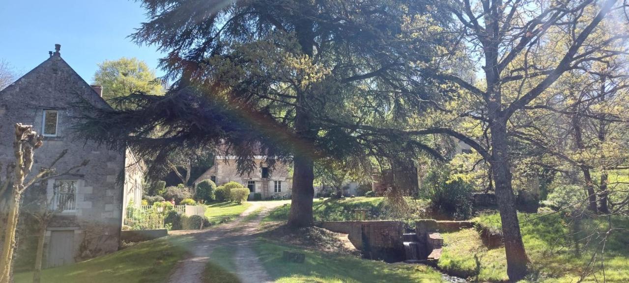 Le Moulin Du Mesnil Bed & Breakfast Saint-Georges-sur-Cher Exterior photo